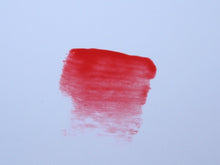 Load image into Gallery viewer, LGG Cosmetics Lip Shine