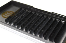 Загрузить изображение в средство просмотра галереи, 0.05 Easy Fanning 08-11mm Mixed Lengths Eyelash Trays
